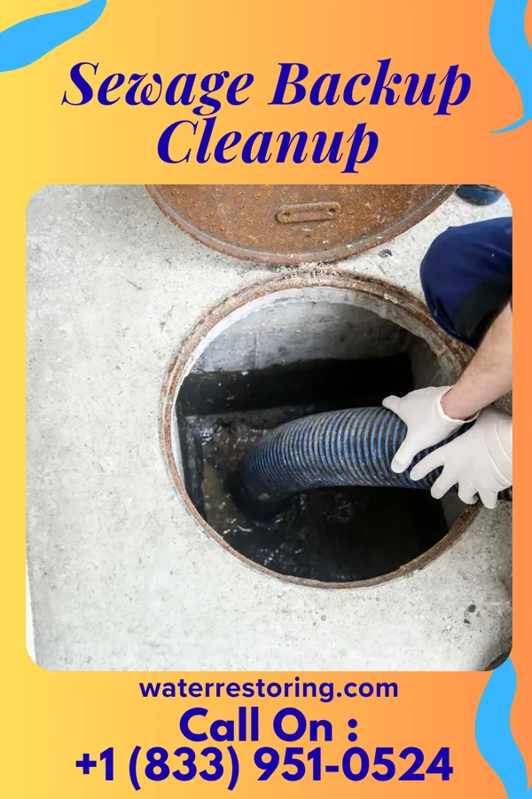 Sewage Backup Cleanup in Mayville, ND
